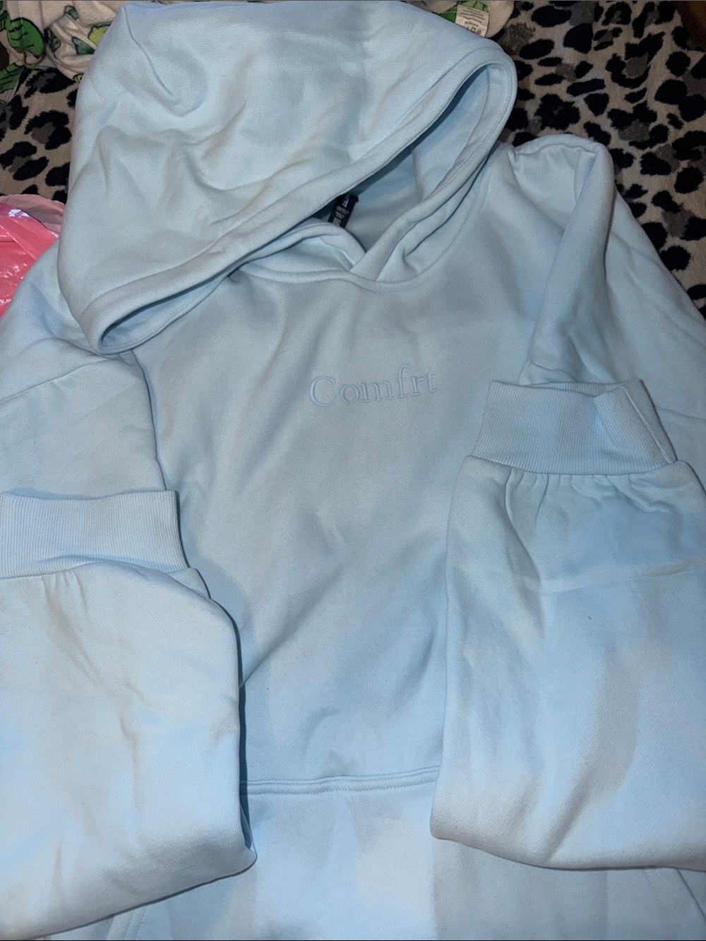 Comfort Embroidered Light Blue Hoodie Sweater